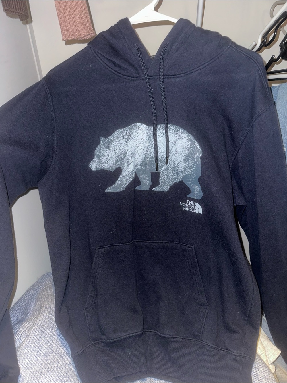 The North Face Men's Black Hoodie with Bear Graphic